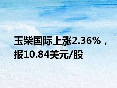 玉柴国际盘中异动 股价大跌5.82%报9.32美元