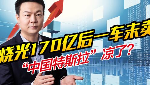 人民日报：从“年产过千万”看“特斯拉效应”