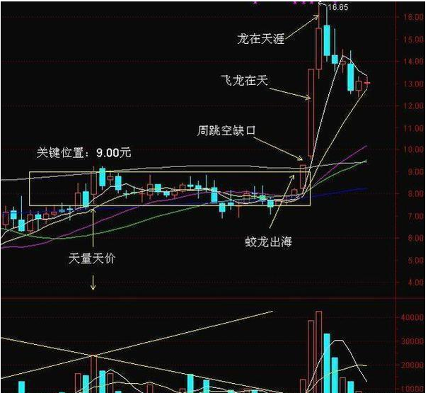 美银看好中国股票 建议在特朗普就职前买入中国和欧洲股票