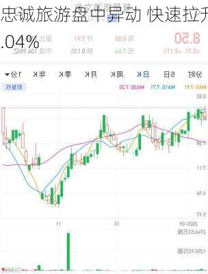 忠诚旅游盘中异动 快速下跌5.08%报70.43美元