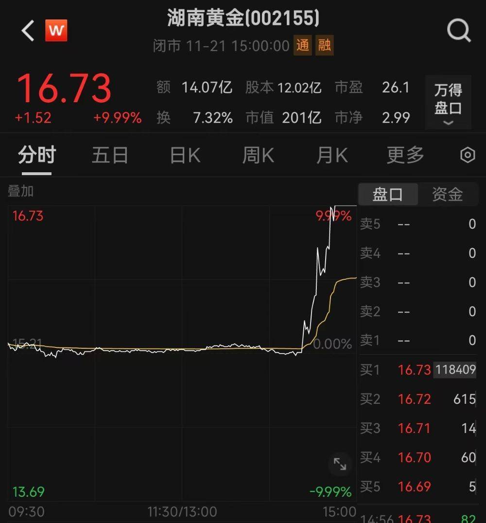 一地发现超40条金矿脉！湖南黄金股价连续涨停 近8万股民嗨翻 最新回应来了