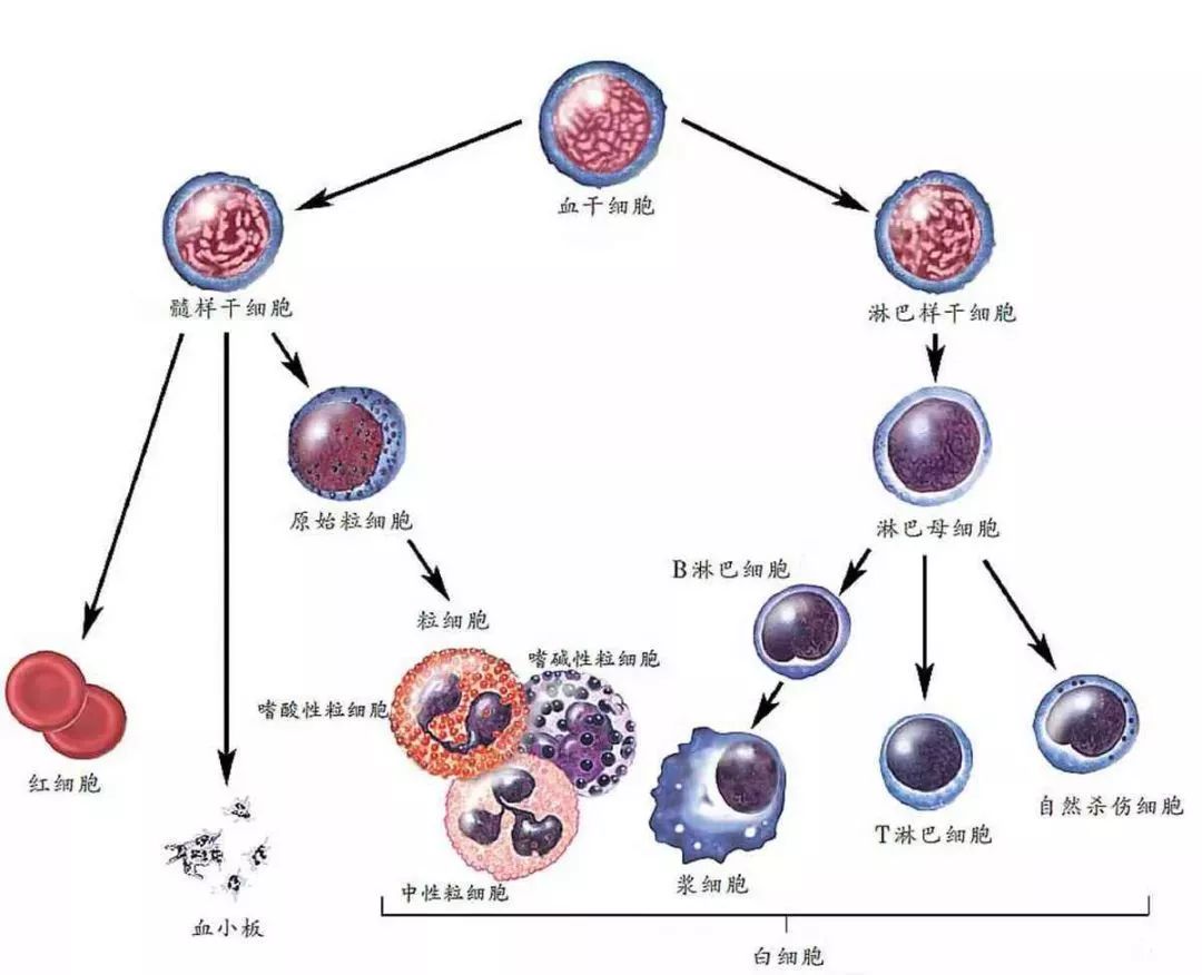 系统大人发霉了,系统在沉睡中长毛了