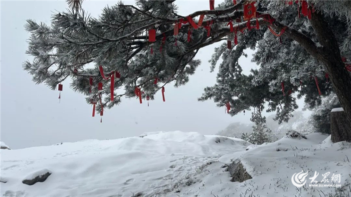 泰山下暴雪了,泰山今晨遭遇大雪袭击