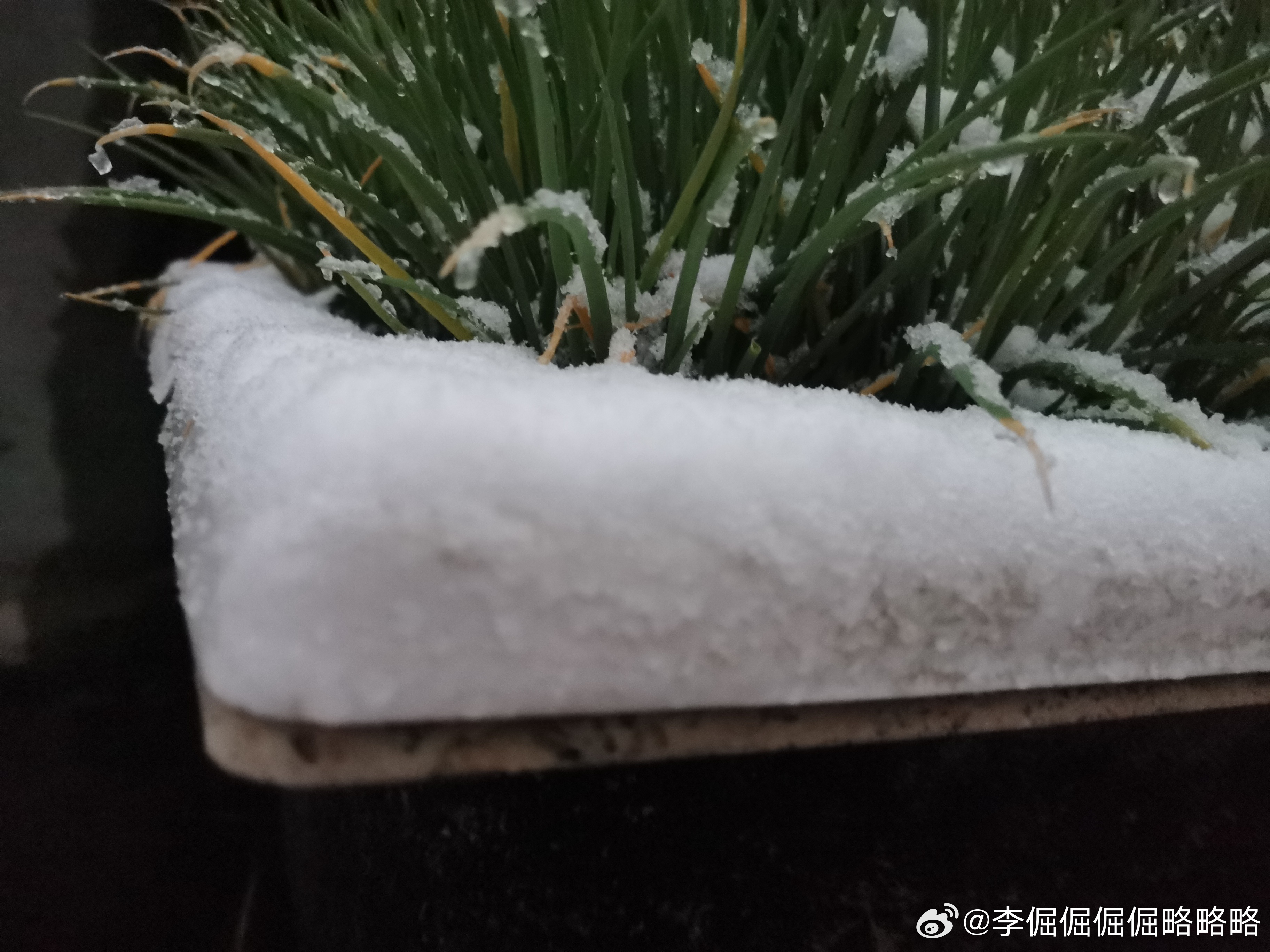 你的IP所在地飘雪了吗,你的IP地址下雪了吗？