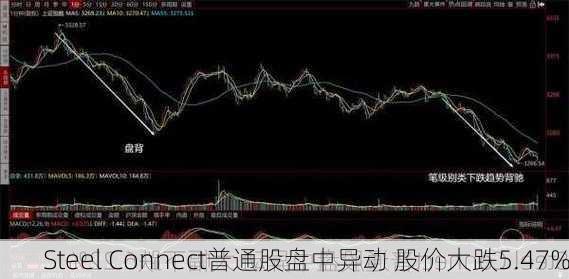 Silicom电信盘中异动 早盘急速下挫5.00%