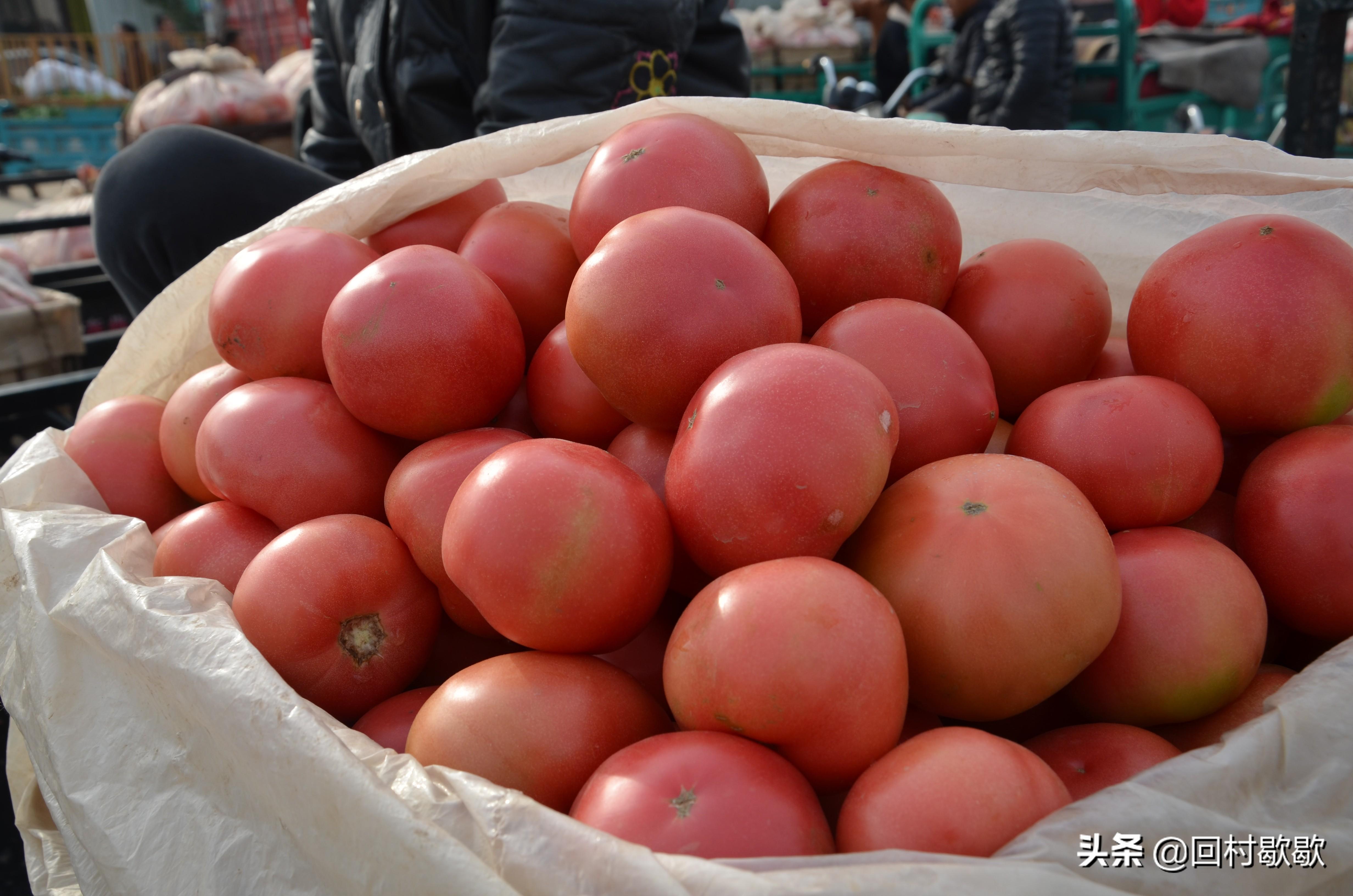 菜价查询最新蔬菜价格,蔬菜价格实时查询