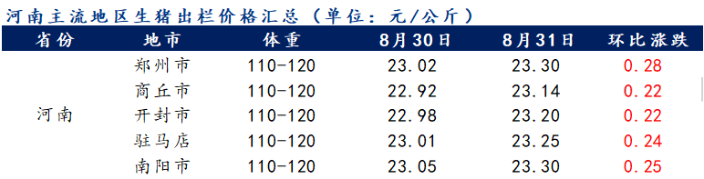 河南最新猪价,河南生猪市场最新动态揭示。