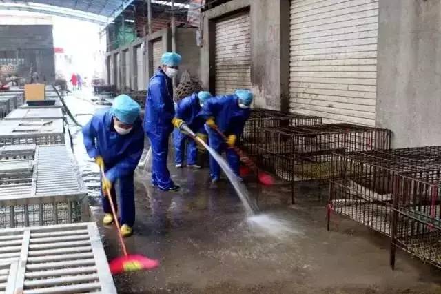 h7n9广西最新消息,广西H7N9疫情最新动态持续更新。