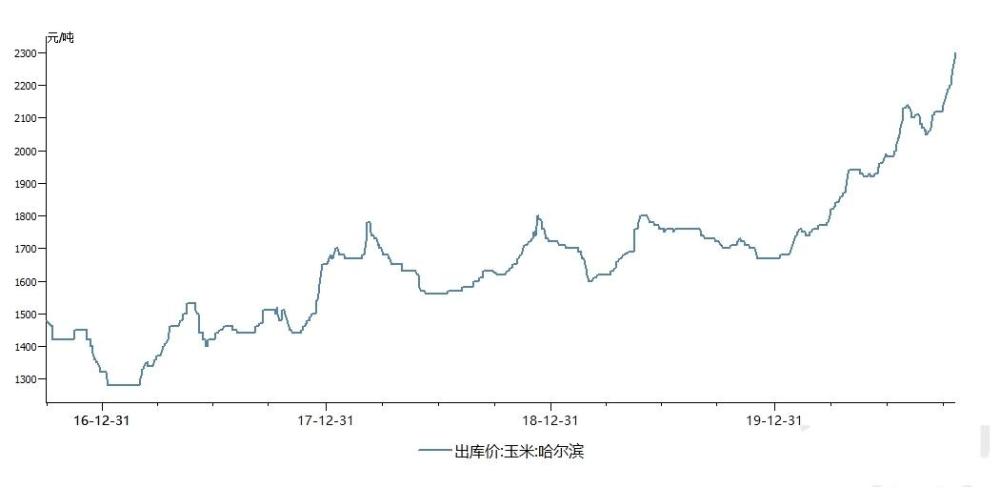 沧州玉米价格最新行情,沧州玉米市场价节节攀升，最新动态引人关注。