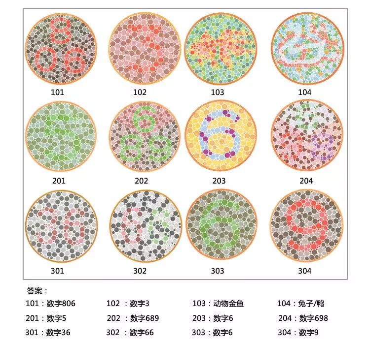 深圳驾考最新消息,“深圳最新驾考政策动态速递”