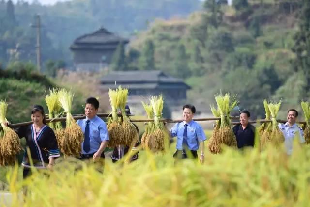 获得长安汽车旗下多个品牌独家量产定点 禾赛盘前涨近6%