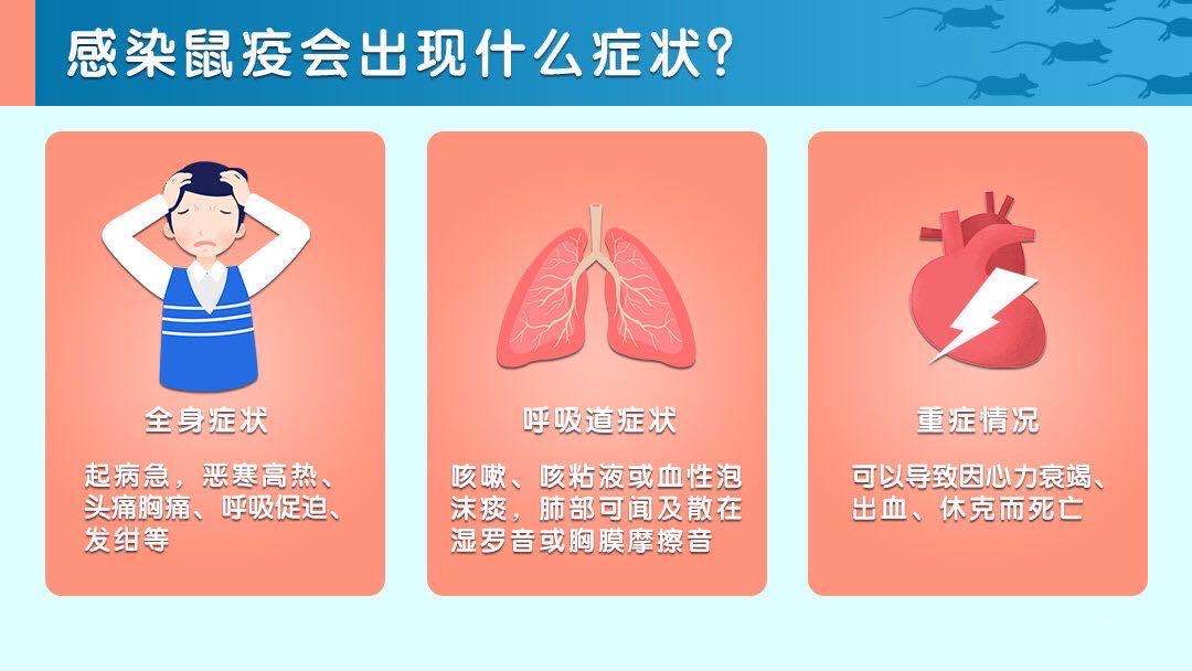 最新的鼠疫,全球首现新型鼠疫病例引发关注。