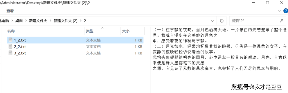 文本文档最新,最新文本文档版