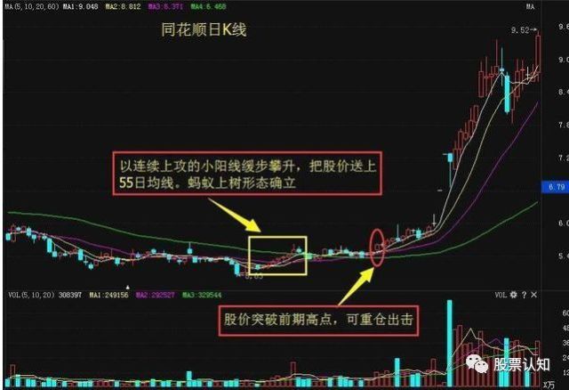 最新炒股技巧,最新股票投资策略