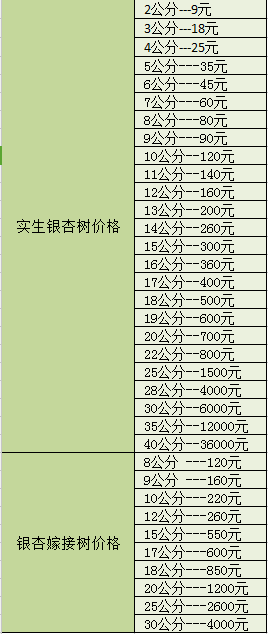 最新银杏树价格表,最新银杏树售价一览表