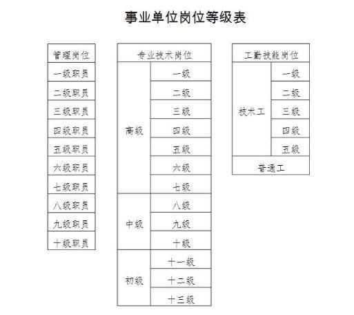 新津司机最新招聘信息,新津驾驶员岗位招聘资讯