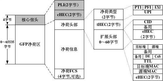 gfp最新排名,GFP最新排行榜