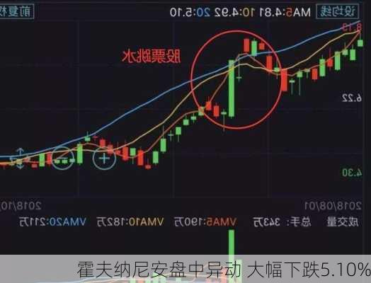 霍夫纳尼安盘中异动 下午盘大幅下跌5.15%报156.04美元