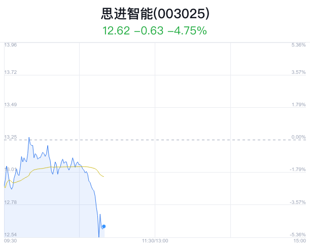 思享无限盘中异动 股价大跌6.97%