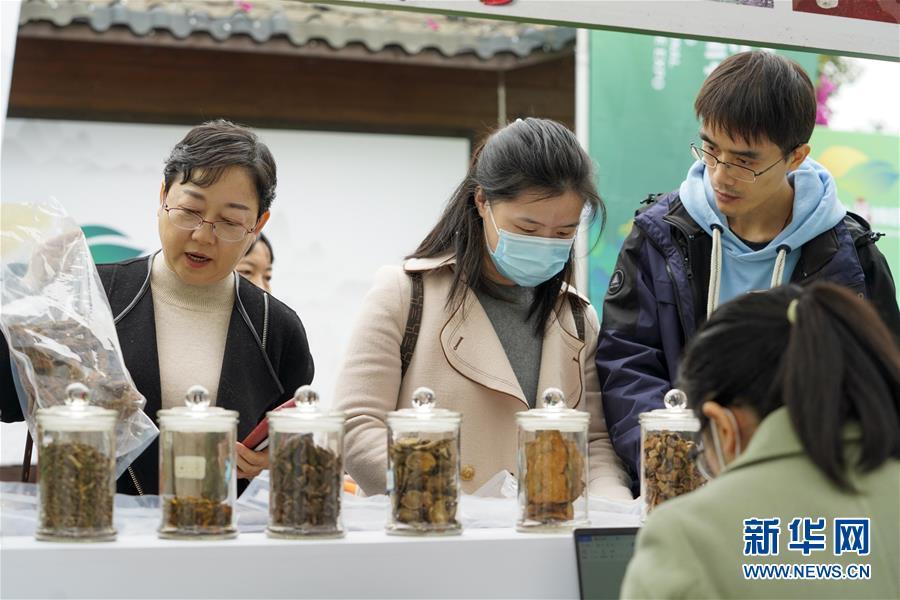 渝三峡a最新消息｜渝三峡a资讯速递