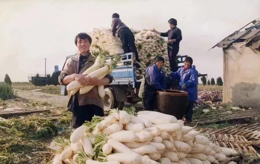 萧山新湾招聘资讯速递