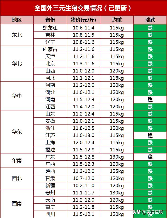 吉辽大地生猪市场迎来新高峰，今日行情喜人！