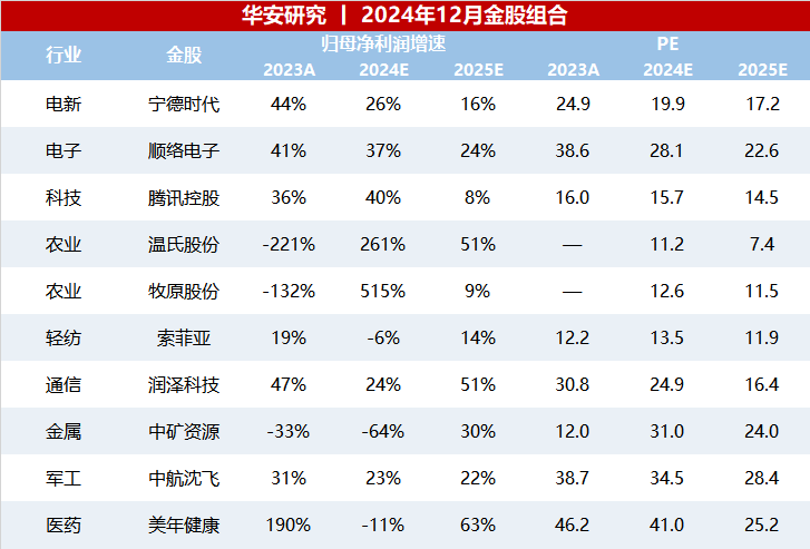 12月十大金股