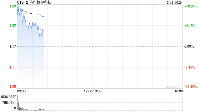 马可数字科技早盘涨超11% 拟折价配售约2.12亿股 净筹约2.1亿港元